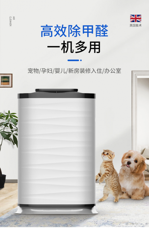 室内宠物异味怎么去除 宠物空气净化器有用吗?